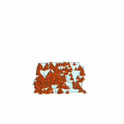 Export Image