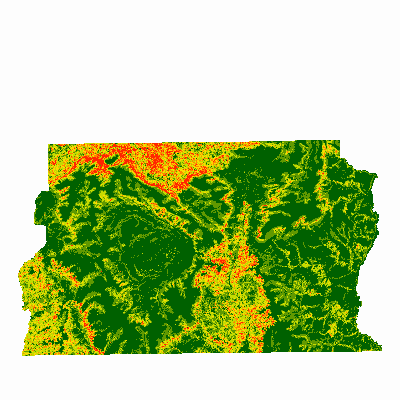 Export Image