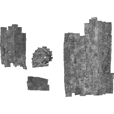 Export Image