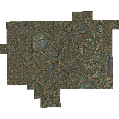 Export Image