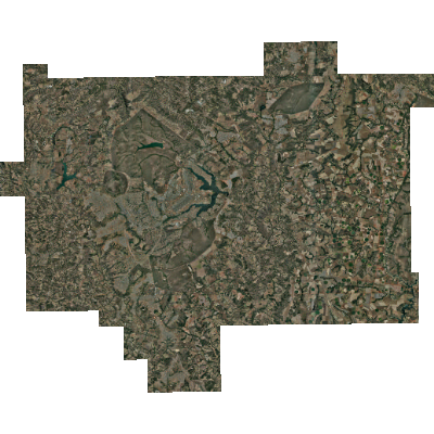 Export Image