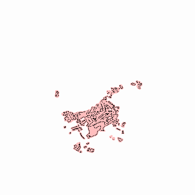 Export Image