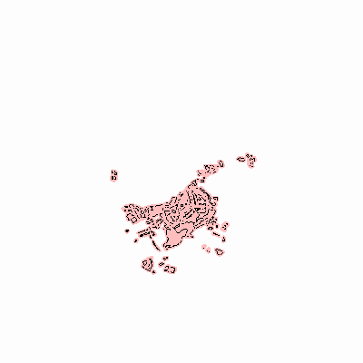 Export Image